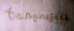 Tangnefedd stain